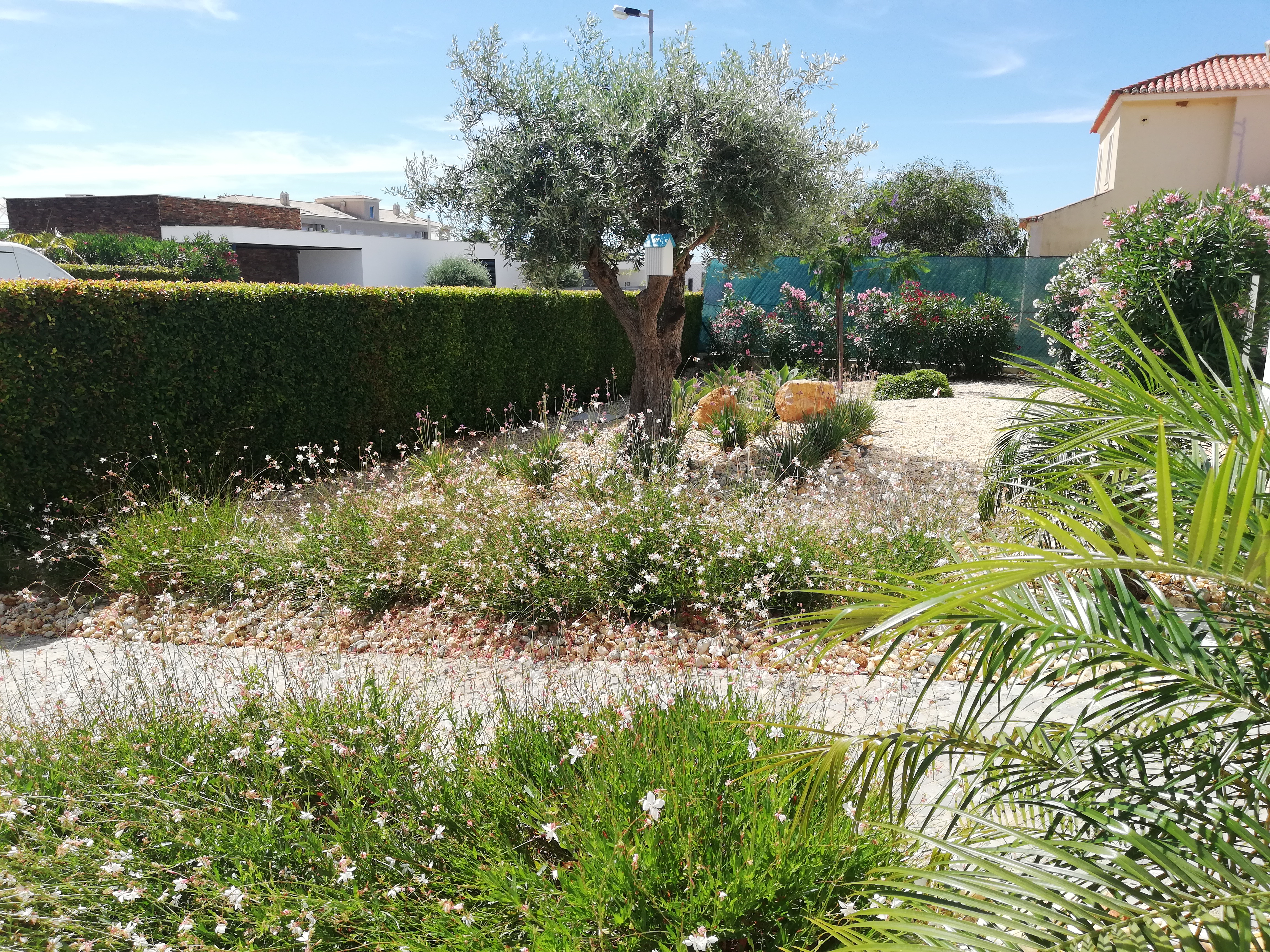 Cerro Azul - Image 7